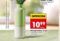 Biedronka Margaretka oferta