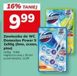 Hitpol Zawieszka do WC Domestos Power 5 oferta