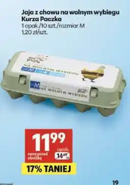 Delikatesy Centrum Jaja z chowu na wolnym wybiegu Kurza Paczka oferta