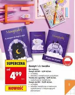 Biedronka Zeszyt lub teczka oferta