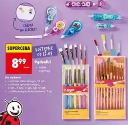 Biedronka Pędzelki oferta