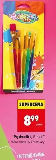 Biedronka Pędzelki, 5 szt oferta
