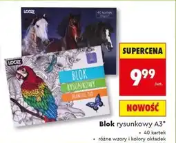 Biedronka Blok rysunkowy A3 oferta