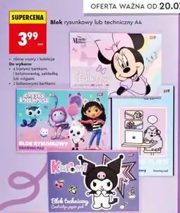 Biedronka Blok rysunkowy lub techniczny A4 oferta