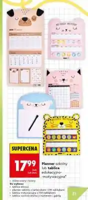 Biedronka Planner szkolny lub tablica edukacyjno-motywacyjna oferta
