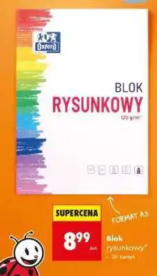 Biedronka Blok rysunkowy oferta