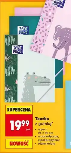 Biedronka Teczka z gumką oferta