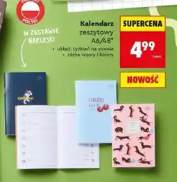 Biedronka Kalendarz zeszytowy A6/48 oferta