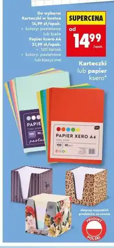 Biedronka Karteczki lub papier ksero oferta
