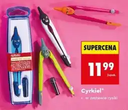 Biedronka Cyrkiel oferta