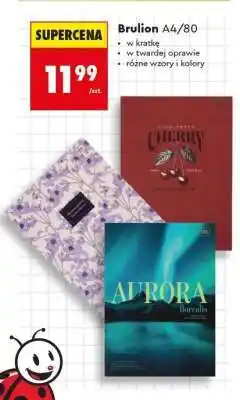 Biedronka Brulion A4/80 oferta