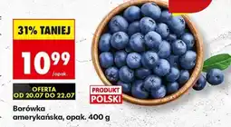 Biedronka Borówka amerykańska, opak. 400 g oferta