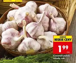 Biedronka Czosnek polski młody, szt oferta