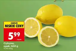 Biedronka Cytryna opak . 500 g oferta