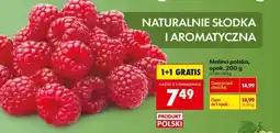 Biedronka Malina polska, opak. 200 g oferta