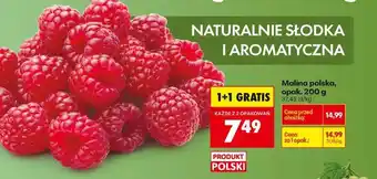 Biedronka Malina polska, opak. 200 g oferta