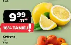 Netto Cytryna luz oferta