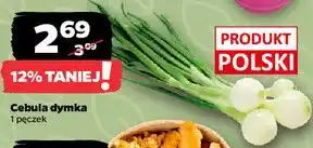 Netto Cebula dymka oferta