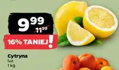 Netto Cytryny oferta
