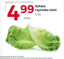 Frac Sałata rzymska oferta