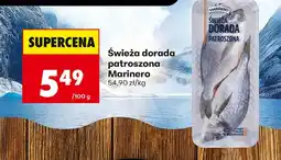 Biedronka Dorada Marinero oferta