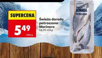 Biedronka Dorada Marinero oferta