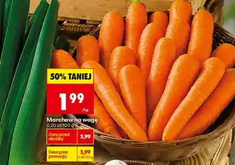 Biedronka Marchew oferta
