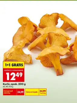 Biedronka Kurki K! oferta