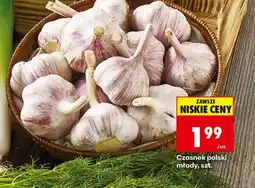 Biedronka Czosnek Polski oferta