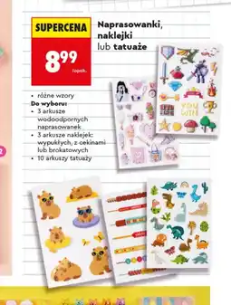 Biedronka Naklejki oferta