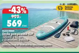 Biedronka Deska do pływania Black forest oferta