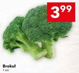 Lewiatan Brokuł oferta
