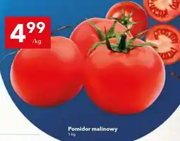 Lewiatan Pomidor malinowy oferta