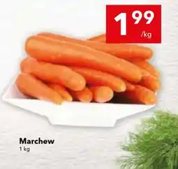 Lewiatan Marchew oferta
