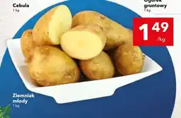 Lewiatan Ziemniak młody oferta