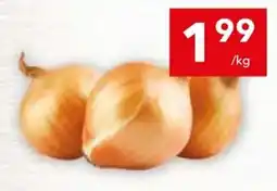 Lewiatan Cebula oferta