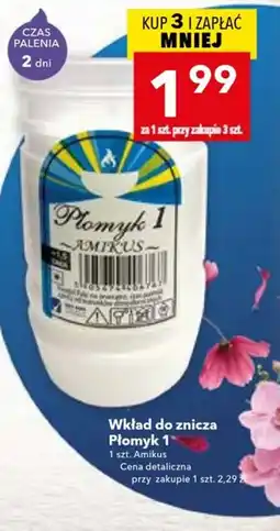 Lewiatan Wkład do znicza Płomyk 1 Amikus oferta