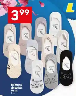 Lewiatan Baleriny damskie Moraj oferta