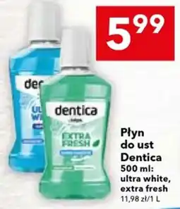 Lewiatan Płyn do ust Dentica oferta