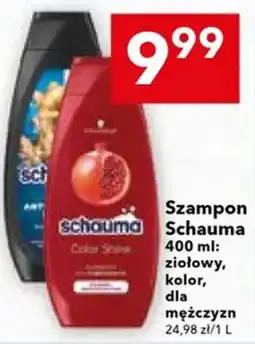 Lewiatan Szampon Schauma oferta