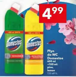 Lewiatan Płyn do WC Domestos oferta