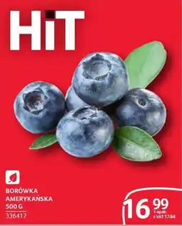 Selgros HiT Borówka Amerykańska oferta