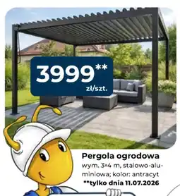 Mrówka Pergola ogrodowa oferta