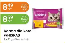 Eurocash Cash & Carry Karma dla kota WHISKAS oferta