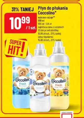 Polomarket Płyn do płukania Coccolino Fresh Blue Splash oferta