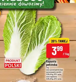Polomarket Kapusta pekińska polska oferta