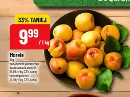 Polomarket Morele oferta