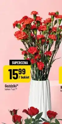 Polomarket Goździki oferta