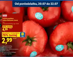 Lidl Pomidory Plus-Plus oferta