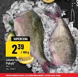 Polomarket Leszcz tusza Polryb oferta